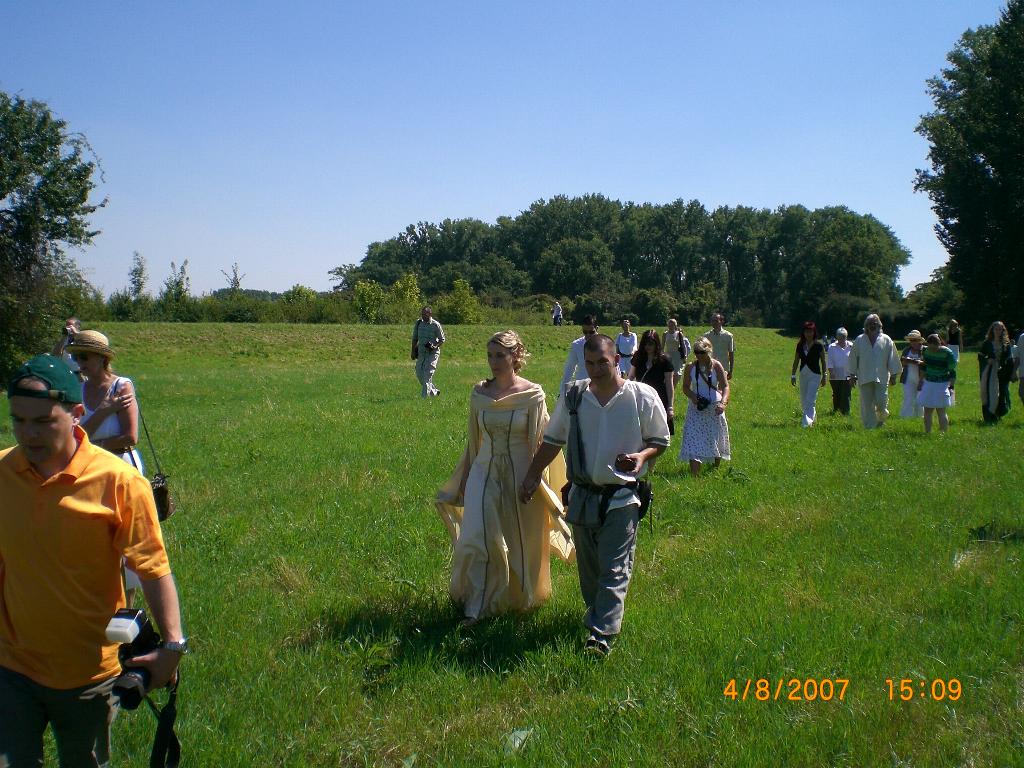 Auf dem Weg zur Eiche