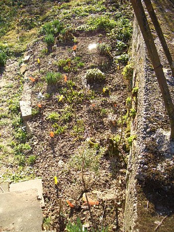Krutergarten